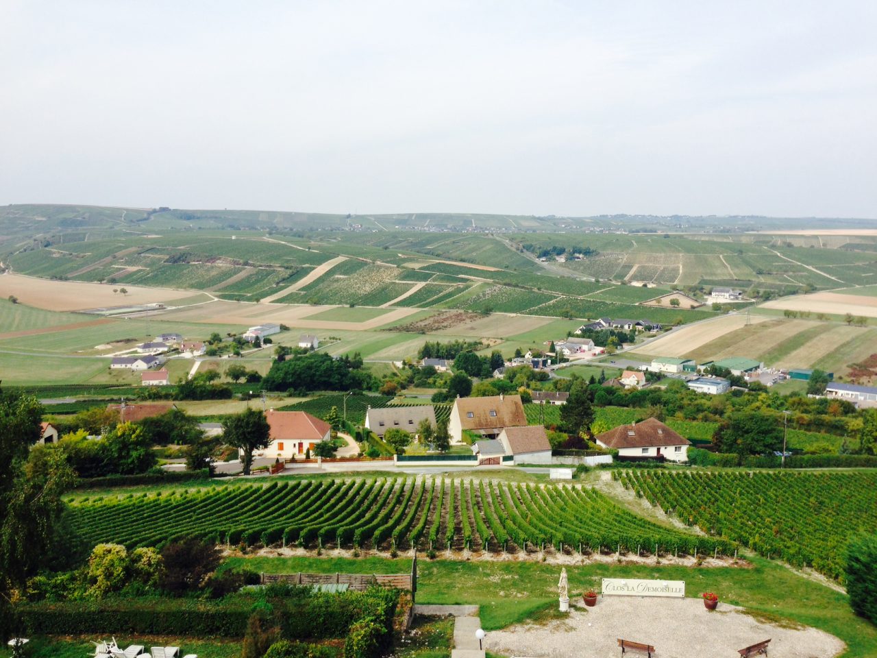 Unique Wine Company Wine Liquor